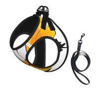 Adjustable Reflective Dog Harness Vest, Breathable Pet Walking Harness With Accessories Leash, Pretty butterflies, Secure No-Slip, Escape Proof, Step-in Pet Vest Harnesses for Puppy, Cats, L