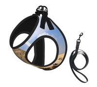 Adjustable Reflective Dog Harness Vest, Breathable Pet Walking Harness With Accessories Leash, Pyramids of Egypt, Secure No-Slip, Escape Proof, Step-in Pet Vest Harnesses for Puppy, Cats, M