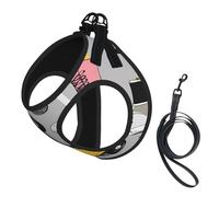 Adjustable Reflective Dog Harness Vest, Breathable Pet Walking Harness With Accessories Leash, Retro Colorful Roller Skates, Secure No-Slip, Escape Proof, Step-in Pet Vest for Puppy, Cats, L