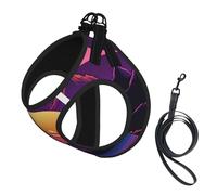 Adjustable Reflective Dog Harness Vest, Breathable Pet Walking Harness With Accessories Leash, Retrowave pictures, Secure No-Slip, Escape Proof, Step-in Pet Vest Harnesses for Puppy, Cats, L