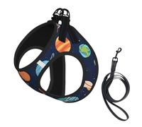 Adjustable Reflective Dog Harness Vest, Breathable Pet Walking Harness With Accessories Leash, Star Galaxies Print, Secure No-Slip, Escape Proof, Step-in Pet Vest for Puppy, Cats, L