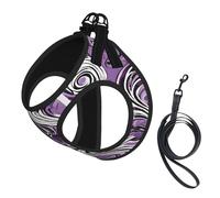 Adjustable Reflective Dog Harness Vest, Breathable Pet Walking Harness With Accessories Leash, the sea witch inspired, Secure No-Slip, Escape Proof, Step-in Pet Vest Harnesses for Puppy, Cats, L