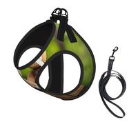 Adjustable Reflective Dog Harness Vest, Breathable Pet Walking Harness With Accessories Leash, toy cloth bear Print, Secure No-Slip, Escape Proof, Step-in Pet Vest for Puppy, Cats, L