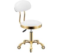 Adjustable Rolling Stool with Backrest, Swivel Comfort on Wheels, Heavy Duty Hydraulic for Salon, Massage, Clinic, Office