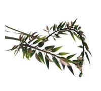 Adjustable Size Green Headband with Vintage Forests Styles Hair Decoration Accessory for Daily Wear and Parties, as described
