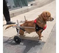 Adjustable Small Dog Wheelchair for Disabled Pets, Soft Shoulder Strap Support, Dog Leg Braces for Older Dogs, Back Legs Lifting Aid (Widen XS)