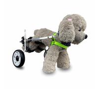 Adjustable Small Dog Wheelchair - Mobility Aid for Disabled Pets Leg Brace & Hip Support for Dogs with Hind Leg Weakness Perfect for Walking (Large)