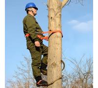 Adjustable Tree Climbers Spikes 10 12 14 16 18 20 In, Portable Carbon Steel Wooden Pole Climbing Gear 1 Pair for Picking Fruit/Tree Work, Load 330lbs(250mm(9.8''))