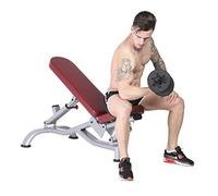 Adjustable Weight Bench Foldable Workout Bench Home Gym Training Multi-Purpose Sit Up Bench for Home Gym