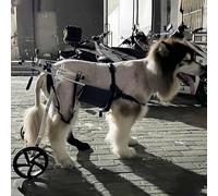 Adjustable Wheelchair for Medium & Large Dogs, Off-Road Cart for Disabled Pets, Rehabilitation Stroller with Rear Leg Support, Durable & Easy to Use