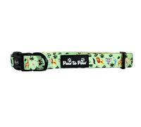 Adjustable Zoo Dog Collar with soft padded neck- Paw to Paw- breathable ultra comfy, sizes xs-medium (Small)