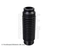 Blue Print ADBP840001 Bellows