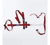 ADLAM Versatile Lambing Harness for Prolapse and/or Restraint for Sheep and Goats Made by Rurtec