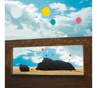 Admiral Fallow - First Of The Birds (Yellow Vinyl) [VINYL]