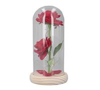 ADMYTHGB Light Up Rose in Glass with LED Warm White Light, Artificial Flower Decor with Wooden Base, 2 Roses Romantic Gift for Her, Valentine's Day Home Office Decoration