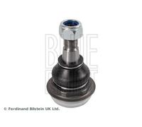 ADN186123 BALL JOINT BLUE PRINT