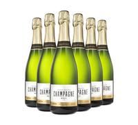 Adnams Brut Champagne 12.5% ABV | 6 x 75cl Bottles | NV French Sparkling Wine | Crisp Fruity Citrus Flavour | Pinot Meunier & Chardonnay Blend | Vegan