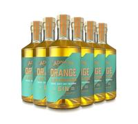 Adnams Orange & Seabuckthorn Gin | 6 x 70cl | Premium Craft Gin 40% ABV | Distilled with Juniper, Sweet Orange Peel & Sea Buckthorn | Fruity Coastal Spirit Made in East Anglia