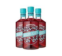 Adnams Sloe Gin 26% ABV 3x 70cl | Rich & Warming Liqueur | Made with Copper House Dry Gin | Infused with Juicy Sloes | Smooth, Fruity & Aromatic | Pack of 3