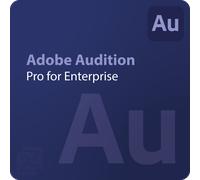 Adobe Audition - Edition 4 for enterprise 1 - 9 User(s)