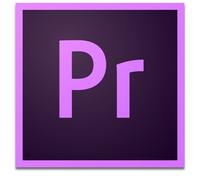 Adobe Premiere Pro for Enterprise Video editor 1 license(s) 1 year(s)