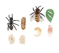ADOCARN 2Sets Simulation Bee and Cycle Models Cognitive for Miniature Growth Figures for Early Education Teaching Props