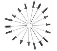 ADOCARN Aluminum Pop Rivets Assortment with Long Grip Blind Rivets Rust Resistant High-Performance in Plastic Storage Box for Indoor and Outdoor Use
