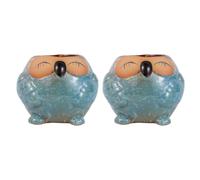 ADOCARN Flower Pots Breathable Design Ceramic Blue Owl Shaped 2pcs Promote Aerobic Respiration for Succulent Plants for Garden and Patio Decoration