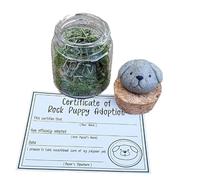 Adopt a Desk Pet, Adopt A Rock Pet in A Jar, Positive ni Rock Friends, Cute Pet Rocks Kit Desktop Decoration for Stress Relief Worry Buddy