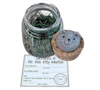 Adopt a Desk Pet, Adopt A Rock Pet in A Jar, Positive ni Rock Friends, Cute Pet Rocks Kit Desktop Decoration for Stress Relief Worry Buddy