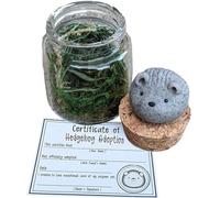 Adopt a Desk Pet, Adopt A Rock Pet in A Jar, Positive ni Rock Friends, Cute Pet Rocks Kit Desktop Decoration for Stress Relief Worry Buddy