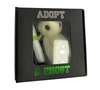 Adopt A Little Pocket Ghost, 2025 Personalize Little Pocket Ghost with a Tiny Scroll, White Wool Felt Ghost Ornaments, Creative for Ghost Stories, Black Creative Funny Gift for Halloween Lovers