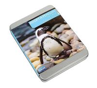 Adopt a Penguin Adoption Pack Tin
