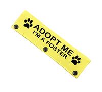 Adopt Me I’m A Foster Leash Sleeve Wrap Adopt Me Dog Leash Cover Dog Gift Dog Owner Gift Dog Rescue Gift (Adopt Me Sleeve)