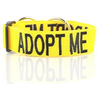 ADOPT ME (I Need A New Home) Yellow Colour Coded Wide L-XXL Semi-Check Dog Collar PREVENTS Accidents By Warning Others Of Your Dog In Advance
