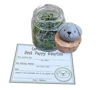 Adopt Rock Pet Hedgehog Desktop Pet Adoption Rock Pet with Certificate of Adoption Decoration