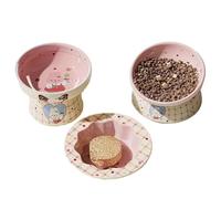 Adorable 3-Piece Pet Bowl Set Designed for Devon Rex Cats, Made of Ceramic, Includes Water Bowl, Tilted Food Bowl, and Shallow Dish C