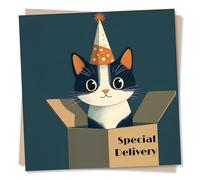 Adorable and Funny Cat Happy Birthday Card - Emerging from Box - Birthday Card for Friend, Men, Women, Kitten Lovers
