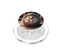Adorable Baby Hedgehog Handle Carefully Hedgehogs As Pets PopSockets PopGrip for MagSafe