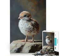 Adorable Bird Chick Portrait 1000-piece Puzzle for Teenagers Pastime Game Snug Connection Home Play Premium Gift (38x52cm)