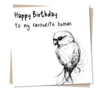 Adorable Birthday Card For a Pet Parent - To My Favourite Human - Bird, Budgie, Animal Lover, Pets - For a Special Someone, Parent - From Your Budgerigar