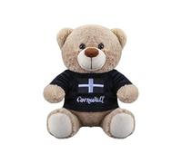 Adorable Brown & Black Plush Bear with Cornwall T-Shirt - 20 cm (1 Pc) - Perfect Souvenir Collectible for Kids & Adults