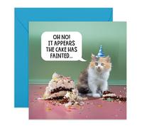 Adorable Cat Birthday Card - The Cake Has Fainted - Humorous Gifts for Cat Lovers, Fur Dad or Mum, Friends, BFF, Him, Her or Family - Wasted Cake - Comes with Fun Stickers
