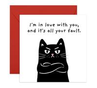 Adorable Cat Love Card - “I’m in Love with You and It’s All Your Fault” - Cute Romantic Card for Him, Her, Fiance, Boyfriend, Girlfriend, Wife, Husband - Anniversary or Valentines Day Greetings