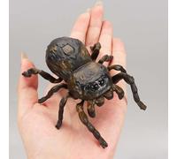 Adorable Chain Winding Insect Toys, Bug Bee Beetle Outdoor Decorations Simulation Model, Wind Up Insect Outdoor Decorations(Spider)