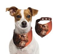 Adorable Cockapoo Dog,Dog Bandanas Cotton Pet Scarf Adjustable Bibs for Pet,S