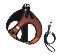 Adorable Cockapoo Dog,Pet Harness,Adjustable Reflective Dog Harness,Pet Leash Vest,M