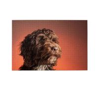 Adorable Cockapoo Dog1