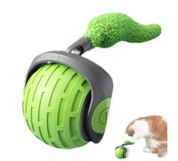 Adorable Design Cat Toy Ball, Interactive Ball for Cats, Cat Ball Toy with Motion Sensor, Motion Activated Dog Toy Balls for Pets, Present, Home, Indoor, Living Room, Blue, Red, Green Color