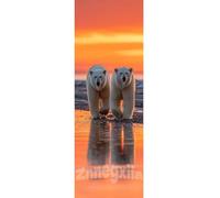 Adorable Diamond Art Kits for Adults/Beginner, 210 X 70 cm Large Dimond Picture Art for Wall Decor, Polar Bear Diamond Painting Kit for Kids, DIY 5D Diamond Painting Cross Stitch for Room Decor